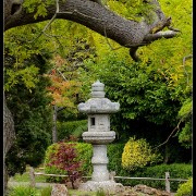 sfgarden17