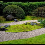 sfgarden19