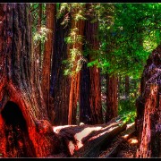 sfhdr05