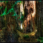 sfhdr06