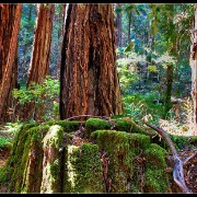 sfhdr08
