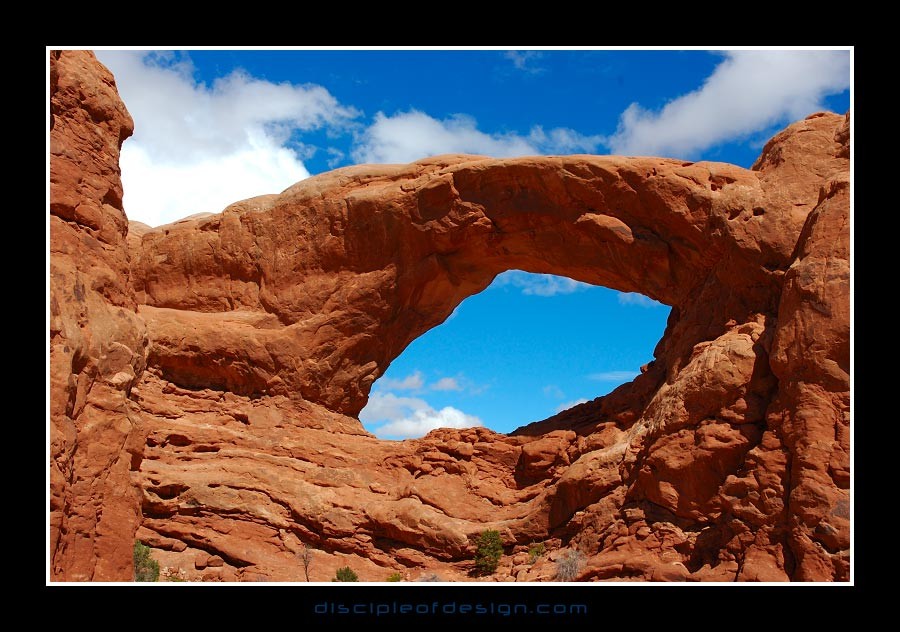 arches50