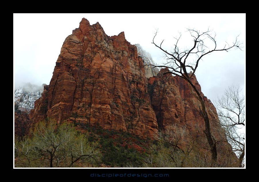 zion08