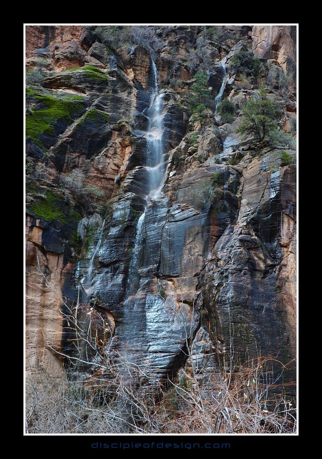 zion11
