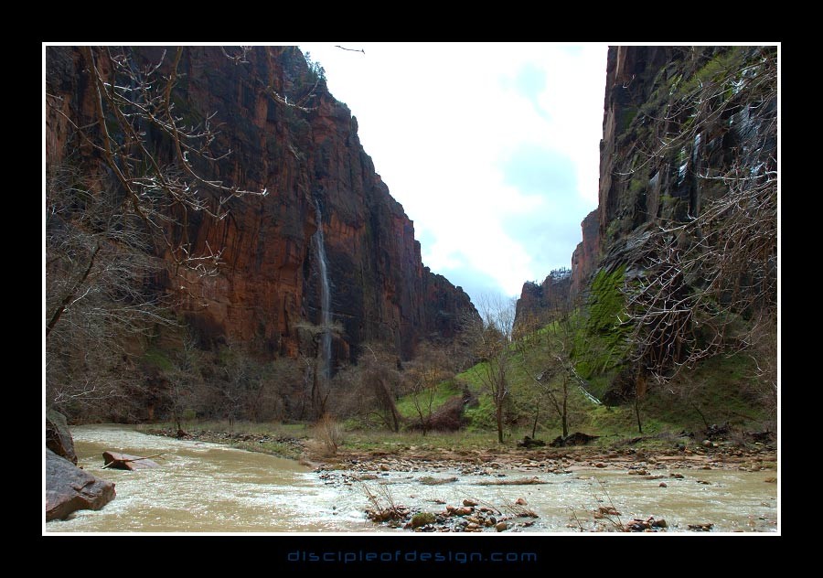 zion24