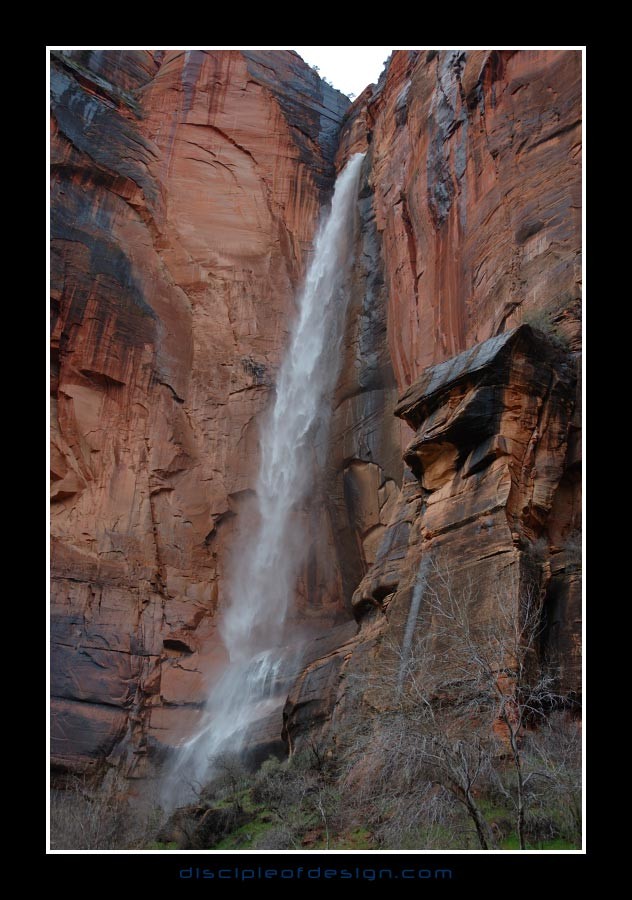 zion31