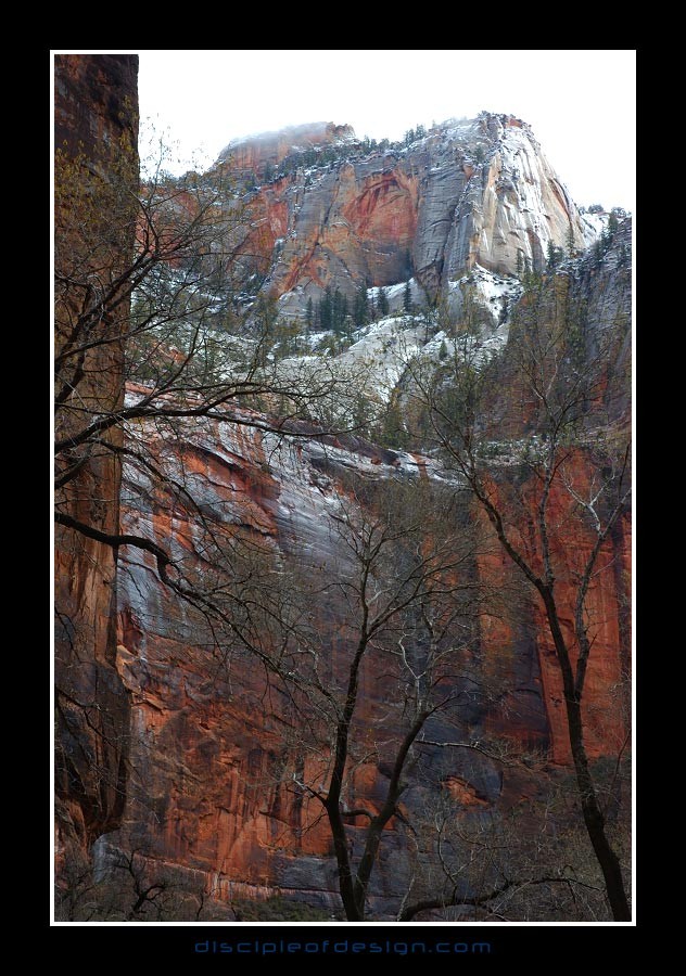 zion33