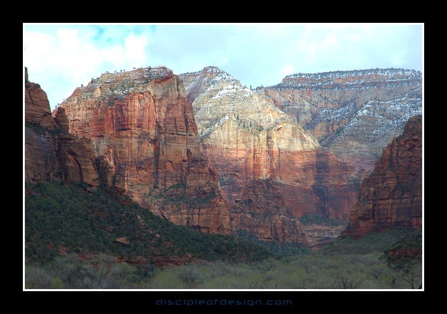 zion41