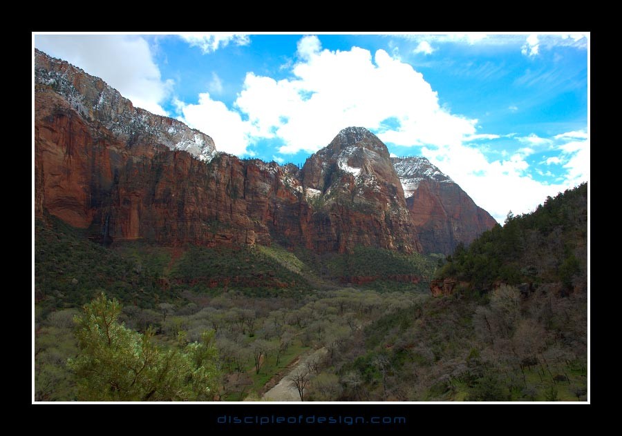 zion45