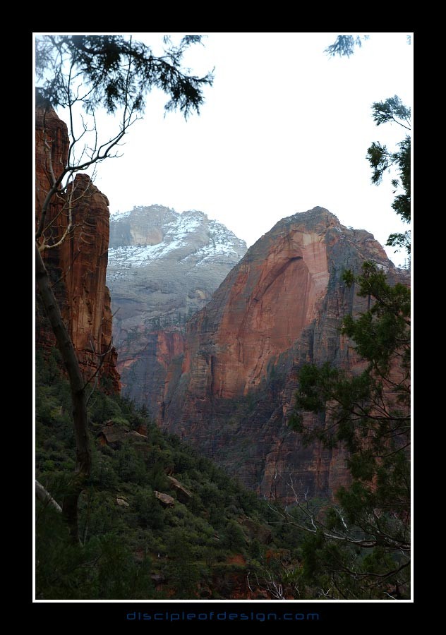 zion50