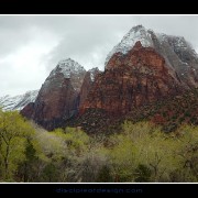 zion03