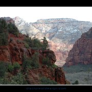 zion44