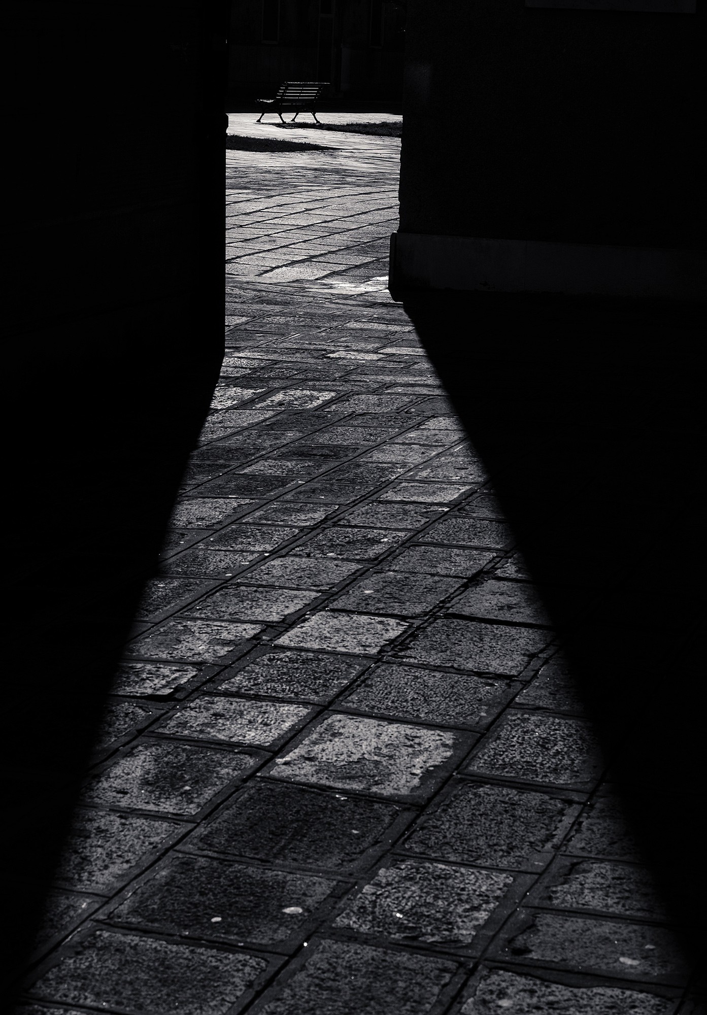 venice19b