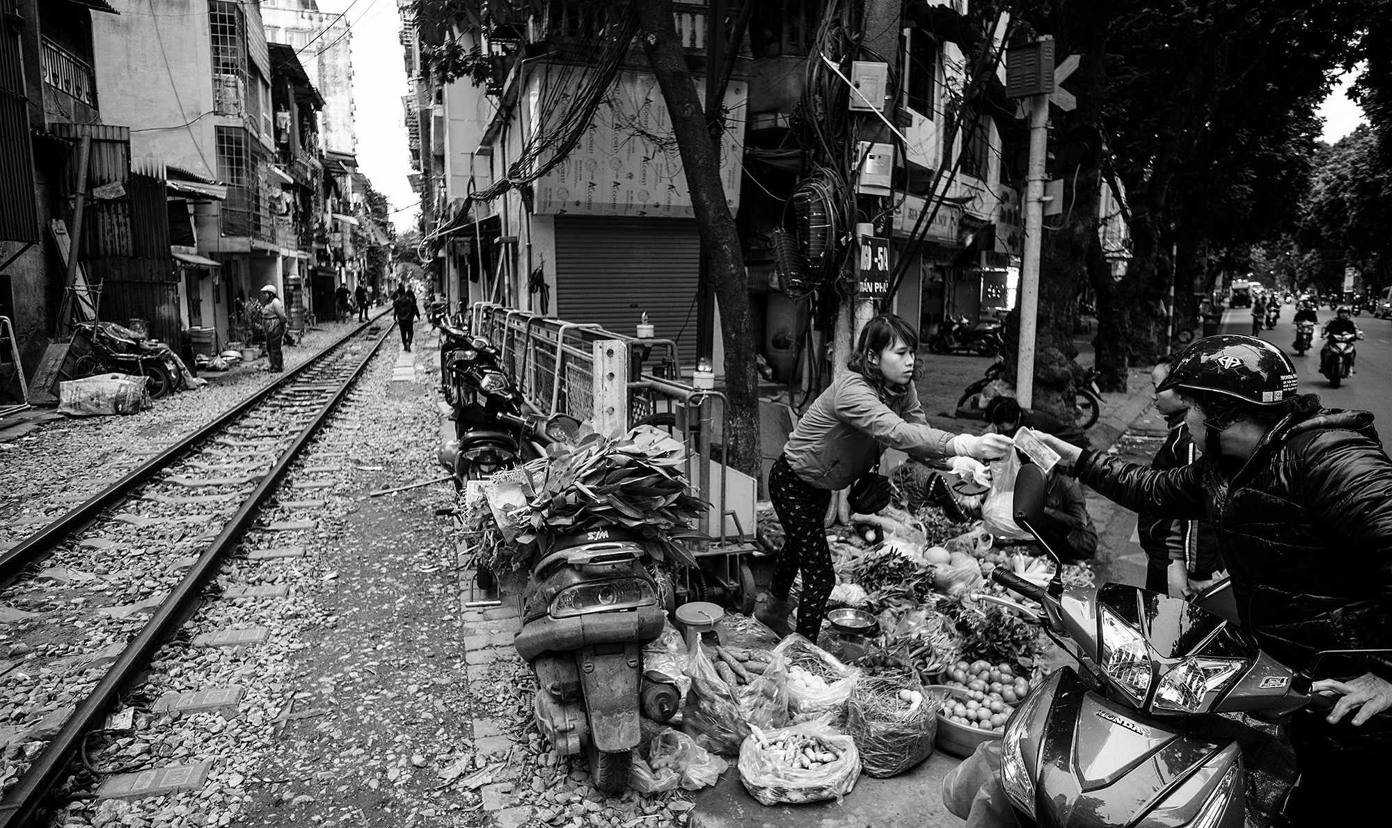 hanoi50b