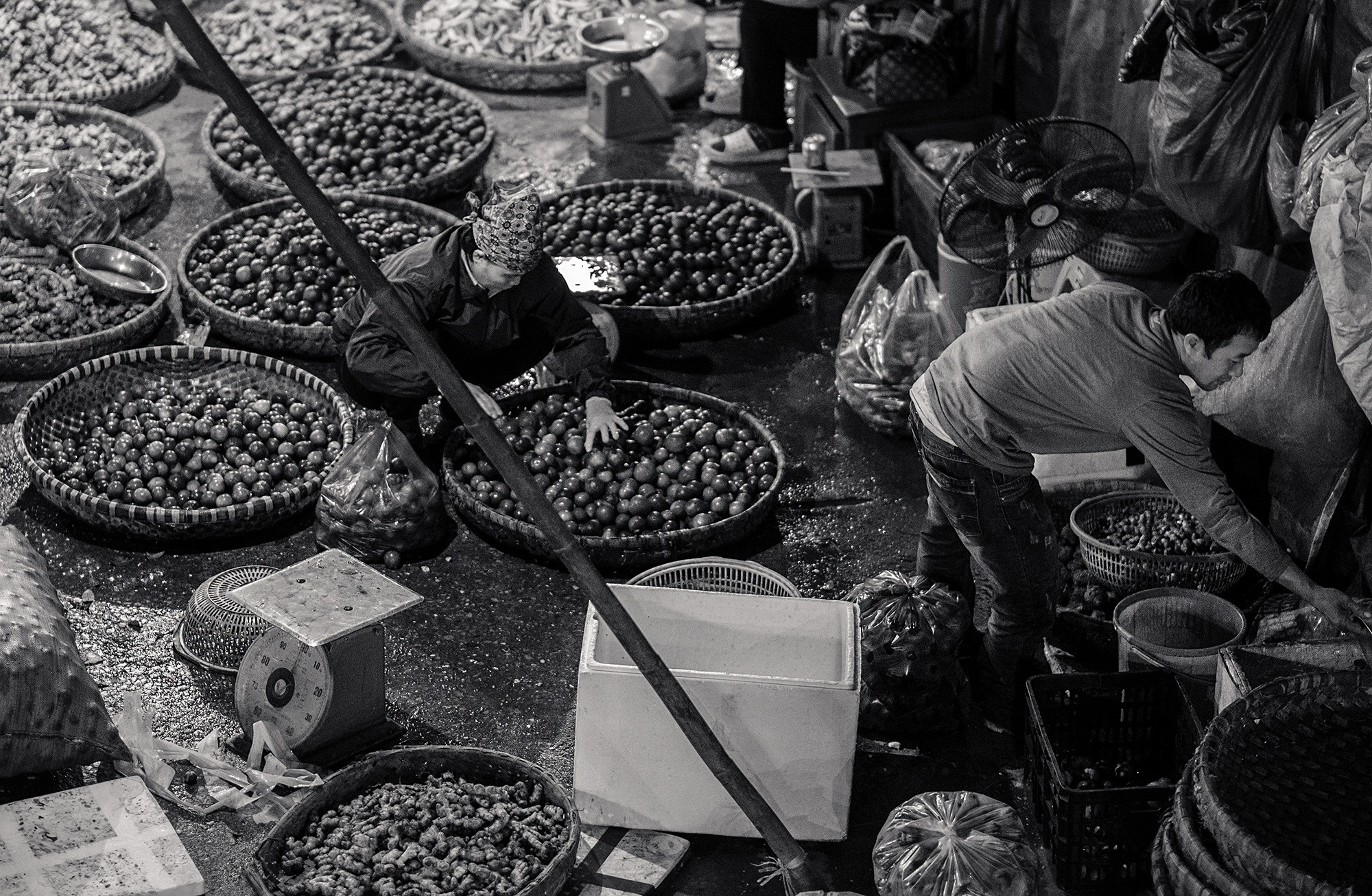 hanoi73b