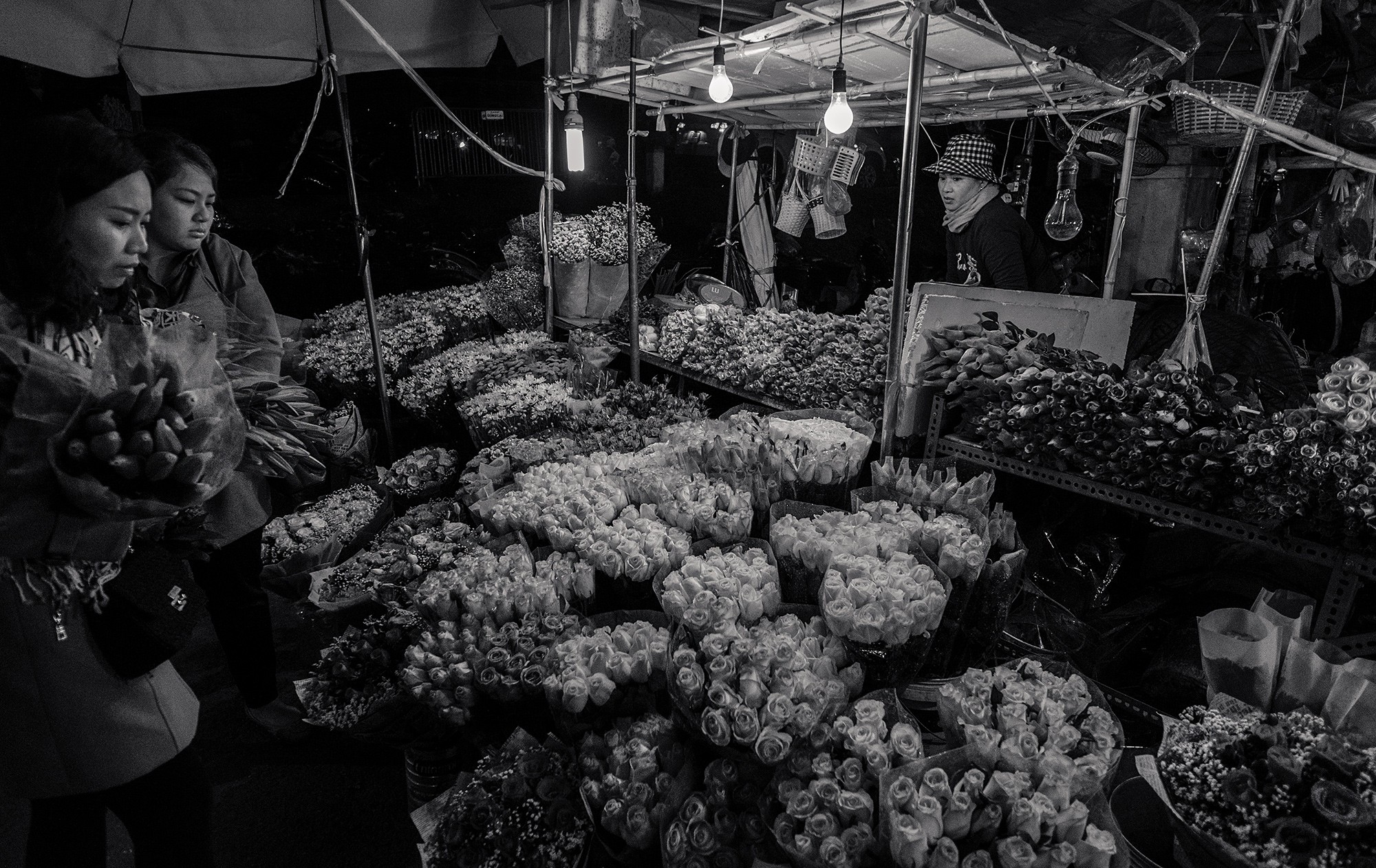 hanoi83b
