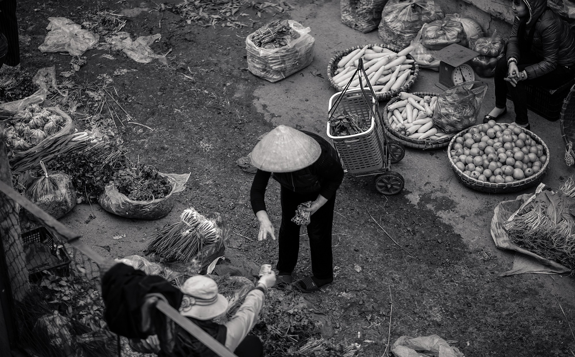 hanoi86b