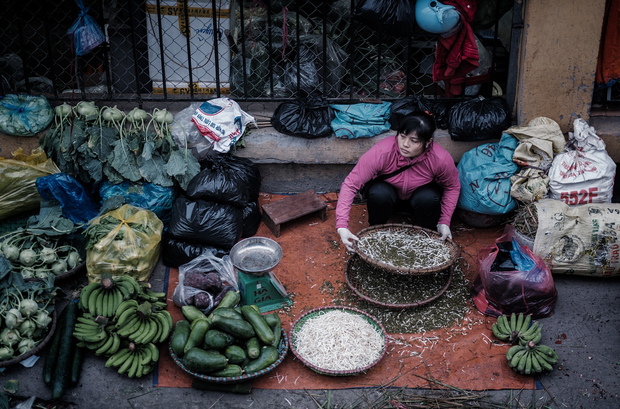 hanoi89a