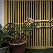 hanoi27b