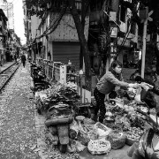 hanoi50b