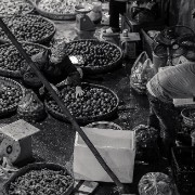 hanoi73b