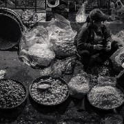 hanoi77b