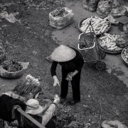 hanoi86b
