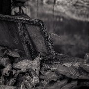 trangan07b