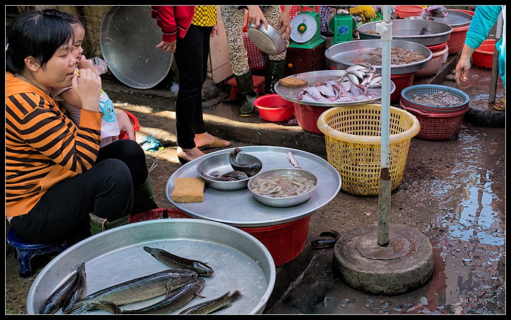 hcmc49