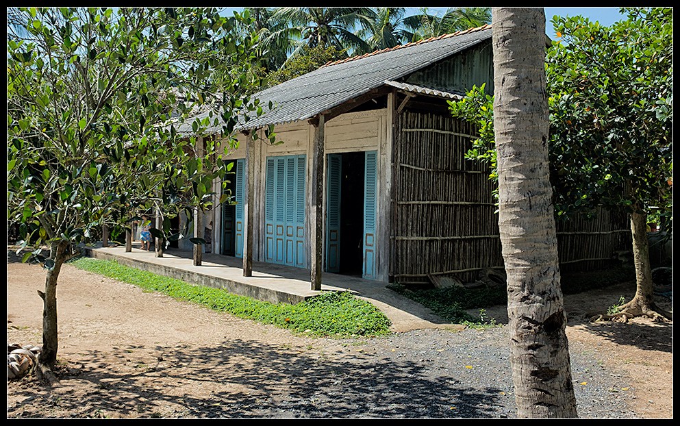 hcmc55