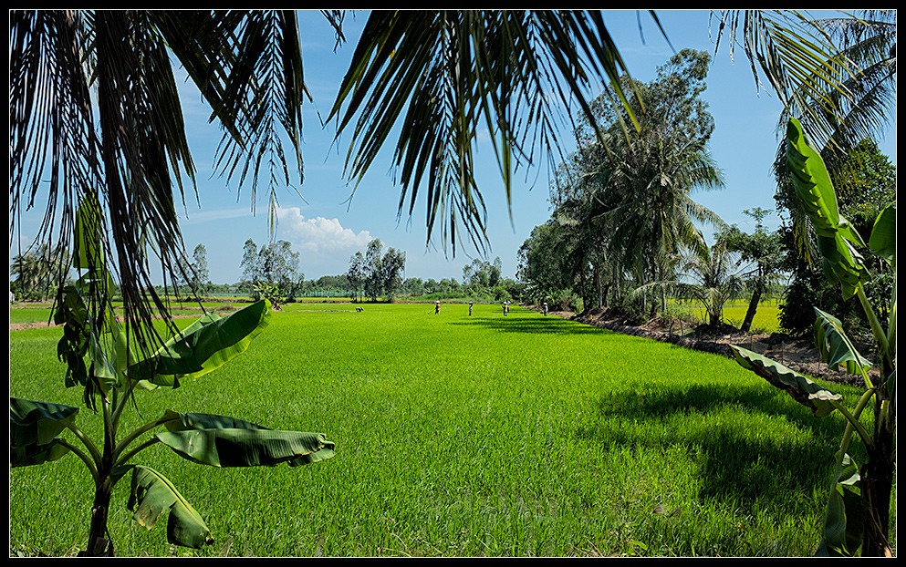 hcmc57