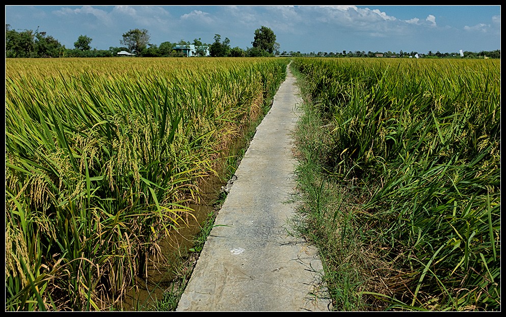 hcmc59
