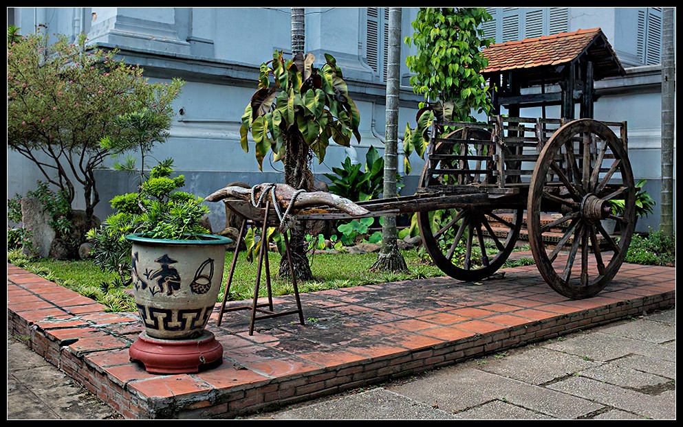 hcmc81
