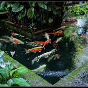 bkk06