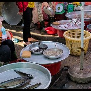 hcmc49