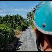 hcmc54