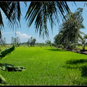hcmc57