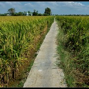 hcmc59