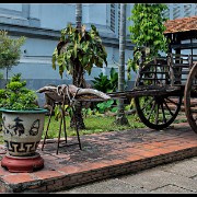 hcmc81
