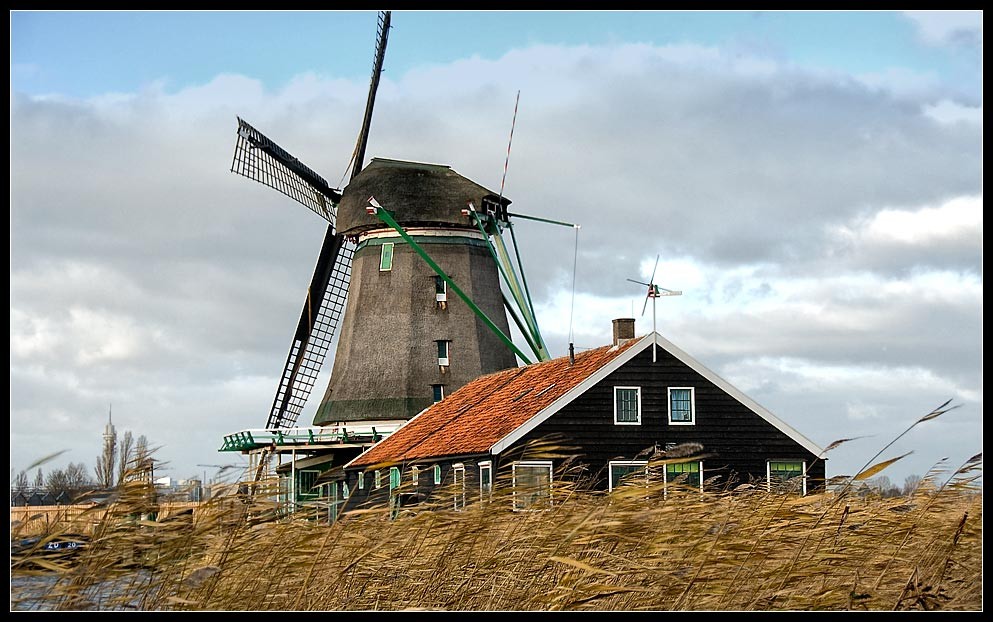 zaanse06