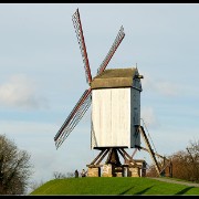 Windmills 2007