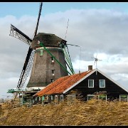 zaanse06